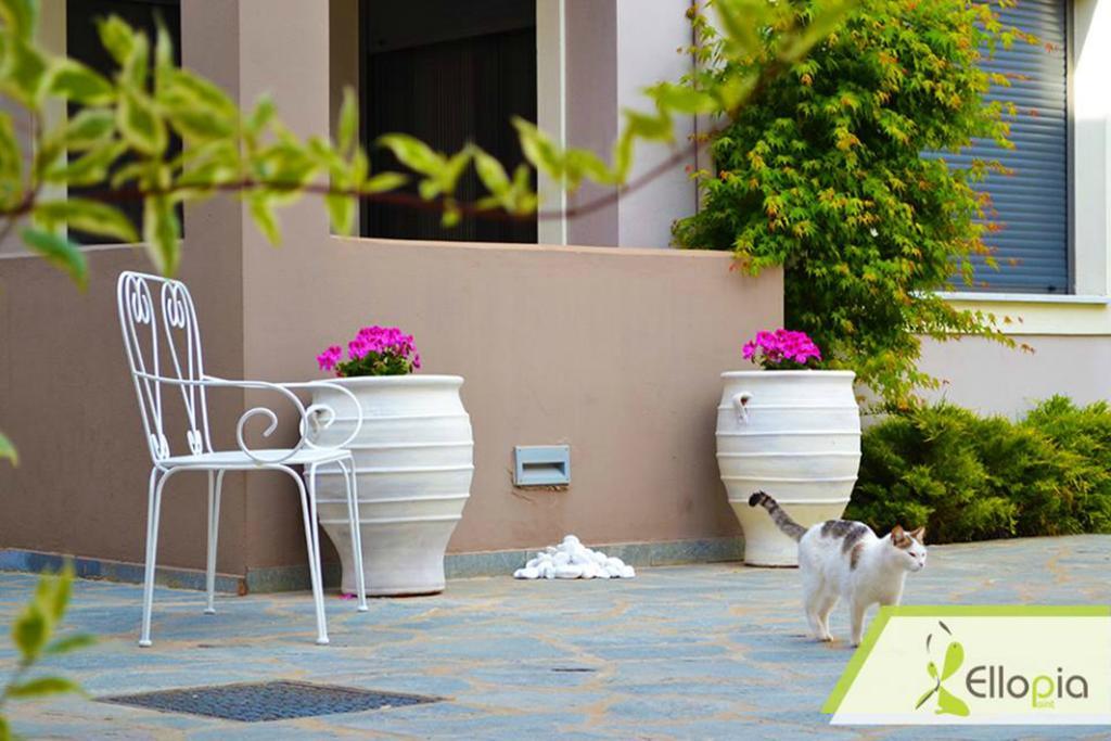 Ellopia Point Hotel يانينة المظهر الخارجي الصورة