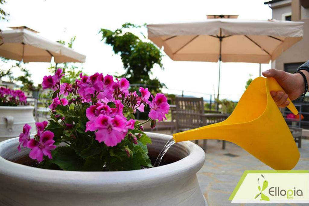 Ellopia Point Hotel يانينة المظهر الخارجي الصورة